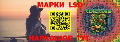 дмт Малгобек