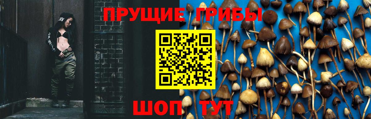 Псилоцибиновые грибы Magic Shrooms  Вход с VPN  Шебекино 